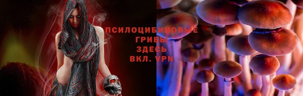 кокаин премиум Алзамай